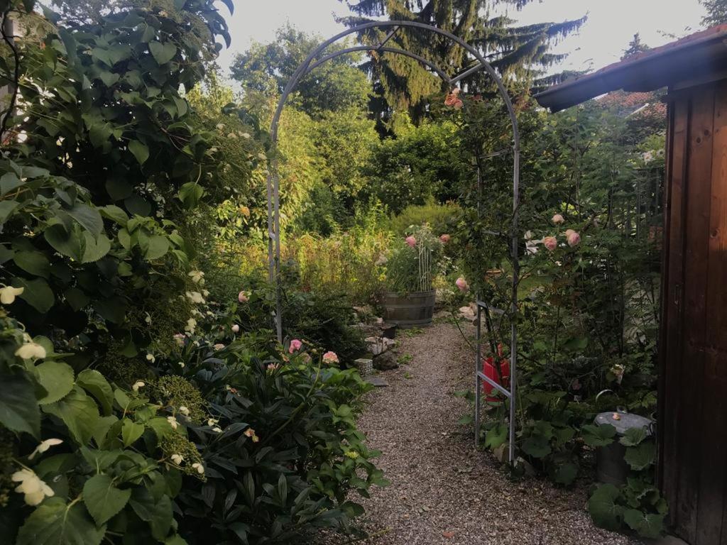 Bed and Breakfast Au Jardin Zuchwil Exterior foto