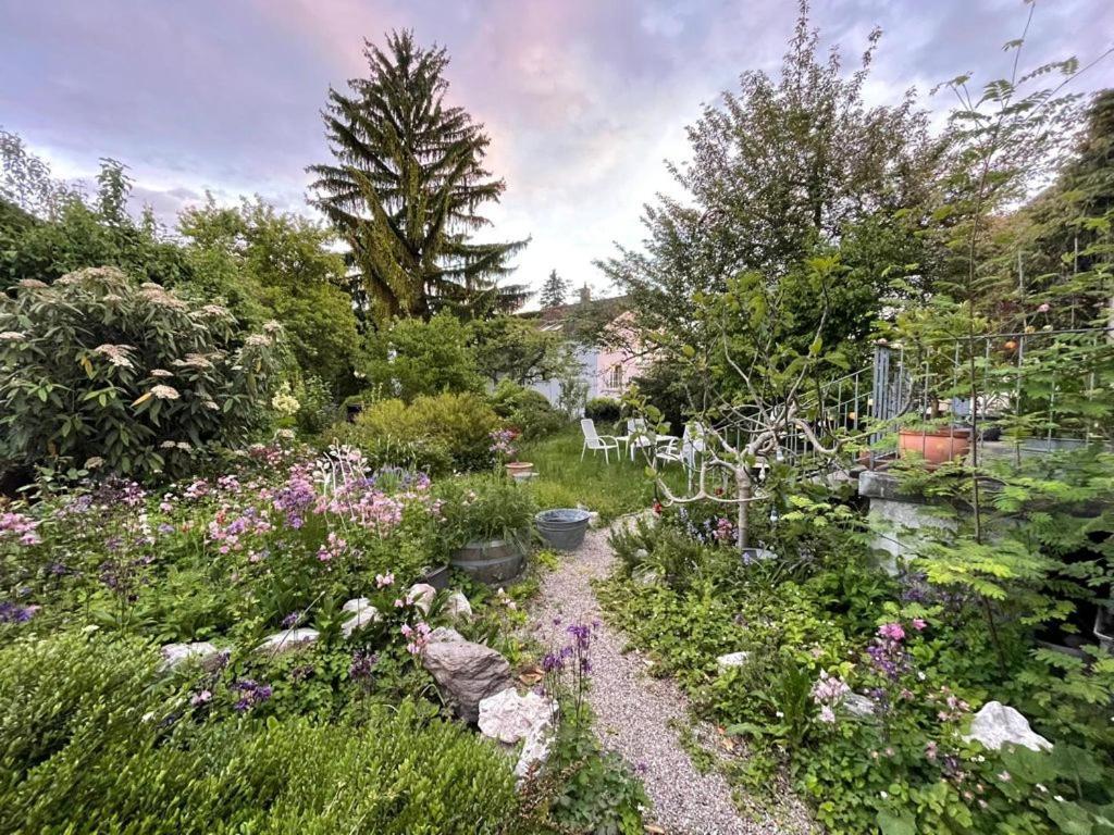 Bed and Breakfast Au Jardin Zuchwil Exterior foto